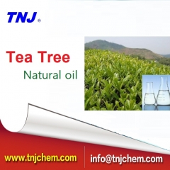 Çay ağacı yağı satın