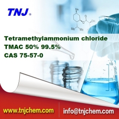 Tetramethylammonium klorür tedarikçiler