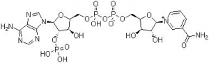 53-59-8 suppliers