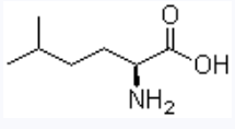 CAS 31872-98-7 5-methyl-L-norleucine suppliers